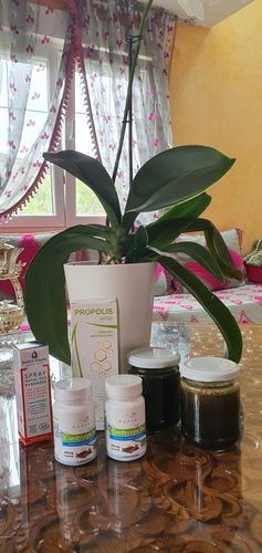 Customer photo review of SIROP DE PROPOLIS