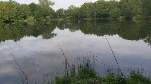 Customer photo review of 10g Smart Fishing Float