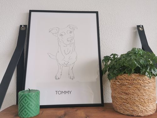 Customer photo review of Maak Je Eigen Pet Frame - Abstract - Poster Met Lijst