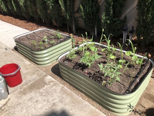 Customer photo review of Original 6-in-1 Metal Raised Garden Bed