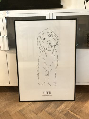 Customer photo review of Maak Je Eigen Pet Frame - Abstract - Poster Met Lijst
