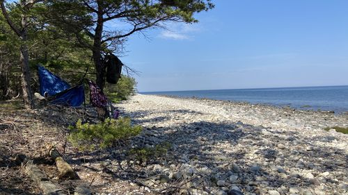 Customer photo review of Sailor Blue - Recycled Double Hammock with Straps