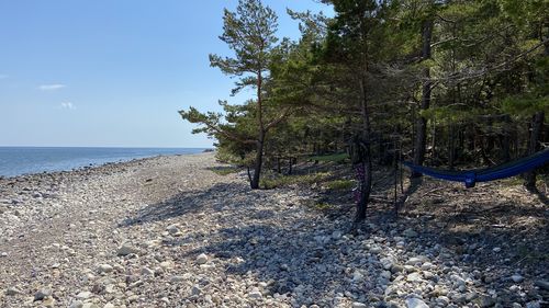 Customer photo review of *PRE-SALE* Forrest Green - Recycled Double Hammock with Straps