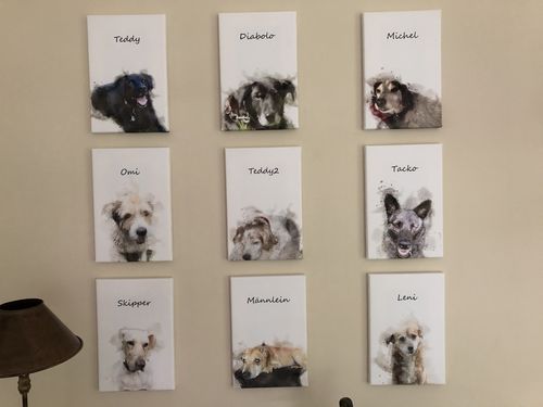 Customer photo review of Individuelles Haustierporträt - Leinwanddruck