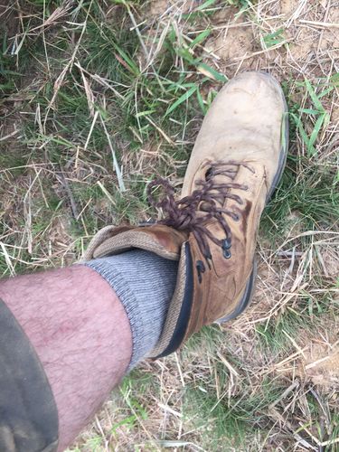 Customer photo review of Ballston Lightweight 81% Merino Wool All Season Crew Hiking Socks - 4 Pairs for Men and Women