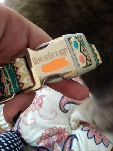 Customer photo review of Petyfy™ Personalized Dog Collar