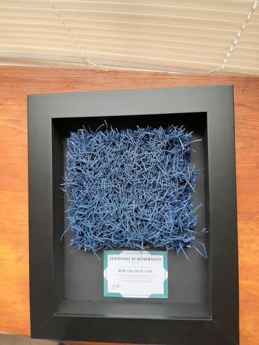 Customer photo review of 6" End Zone - Shadow Box