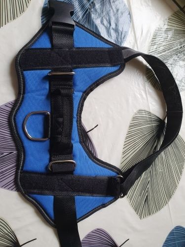Customer photo review of Petyfy™  Personalized NO PULL Harness + Seat Belt For FREE