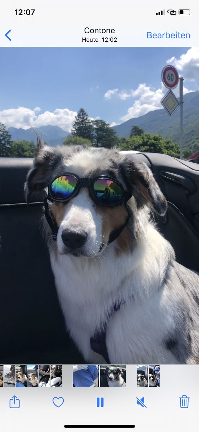 Customer photo review of Aktion Hundekekse - Kürbis-Huhn - 2 mg CBD - Total 740 mg CBD