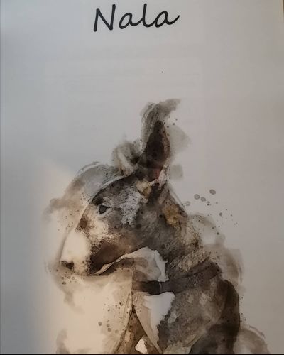 Customer photo review of Individuelles Haustierporträt - Posterdruck