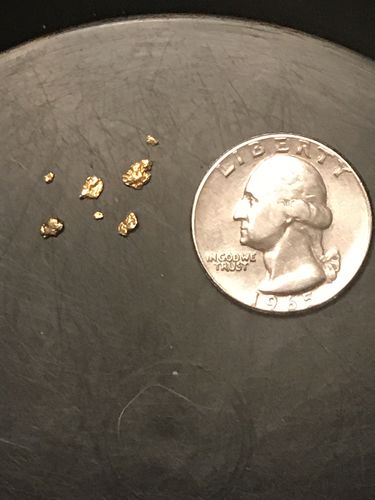 Customer photo review of *New* 2020 NUGGET RESERVE 'CLUNKER' Gold Paydirt Panning Unsearched