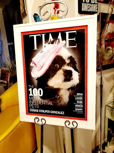 Customer photo review of Posing Pig Custom Print
