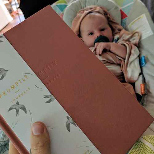 Customer photo review of Childhood History - Dusty Rose