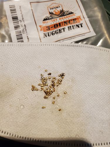 Customer photo review of *BOGO* NUGGET RESERVE '3 Ounce Nugget Hunt' - Gold Paydirt Concentrate - Panning Pay Dirt Bag