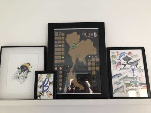 Customer photo review of Animal Alphabet