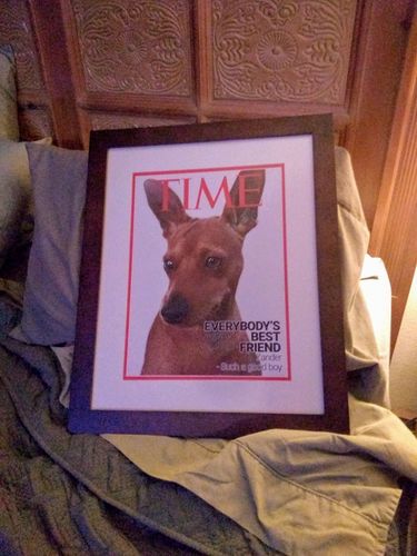 Customer photo review of Posing Pig Custom Print
