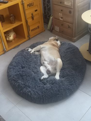 Customer photo review of Lit Apaisant Comfy® |  Pour Chien et Chat