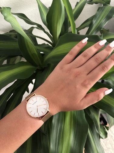 Customer photo review of World Edition Rosé Gold White
