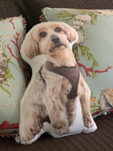 Customer photo review of Custom Dog Pillow