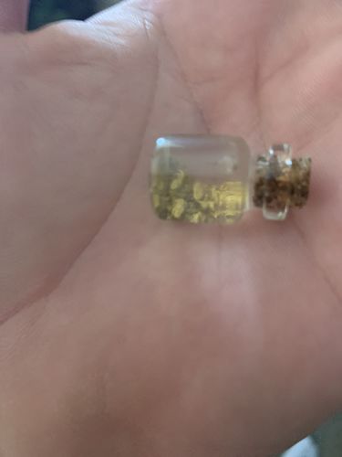 Customer photo review of *BOGO* Goldn Paydirt '$5,000 Nugget Giveaway' - Gold Panning Paydirt Concentrate