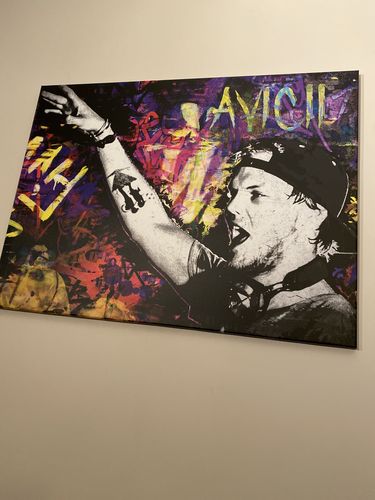 Customer photo review of Tableau Avicii