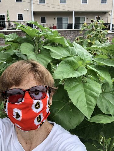 Customer photo review of PACK OF 6 ADULT REUSABLE FACE MASK