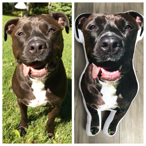 Customer photo review of Personalisiertes Hundekissen™