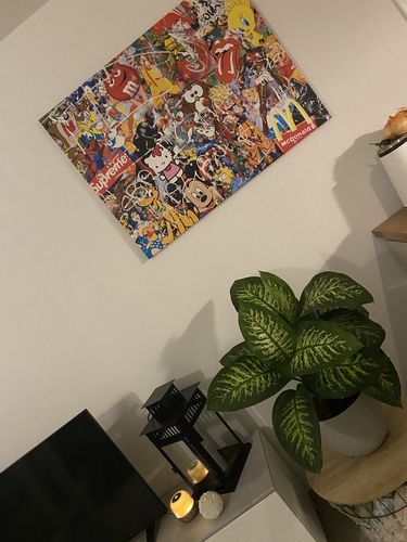 Customer photo review of Tableau Pop Icons v2