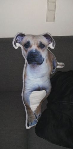 Customer photo review of Personalisiertes Hundekissen™
