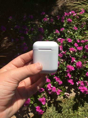 Customer photo review of Lucepods