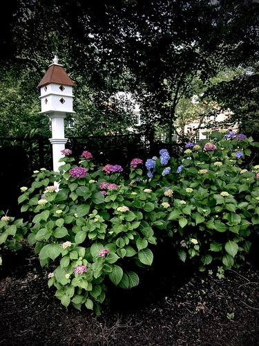 Customer photo review of Plantation Bird House, Copper Roof