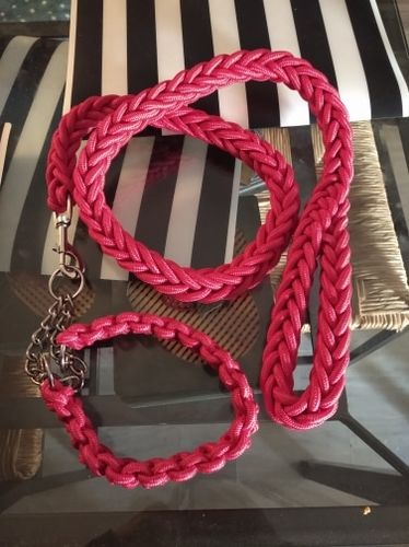 Customer photo review of COLLIER + LAISSE "RED ARMY"