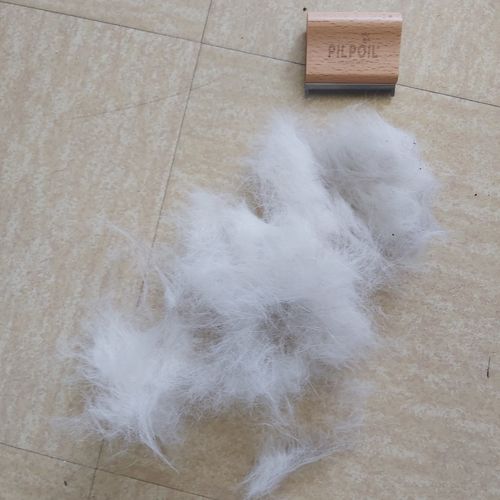 Customer photo review of Brosse Anti-Poils Chien, Chat, Cheval, Lapin | Original | Pilpoil®