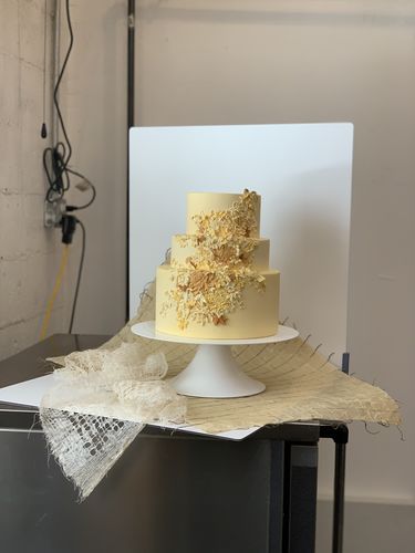 Customer photo review of Plaster - New Release