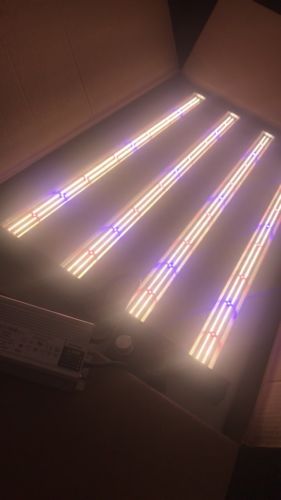 Customer photo review of Slim 320H Dimmable LED Grow Light 320w (120 Degree) 3500k