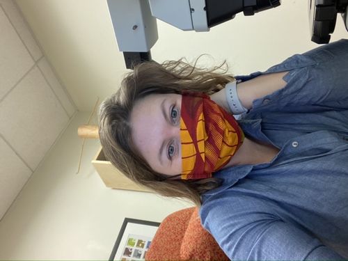 Customer photo review of PACK OF 6 ADULT REUSABLE FACE MASK