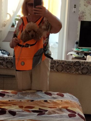 Customer photo review of Petyfy™ Dog Backpack + Lifetime Warranty!