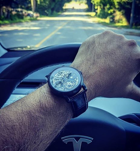 Customer photo review of Black Leather Timepiece Travel Box