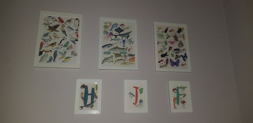 Customer photo review of The A-Z of Birds