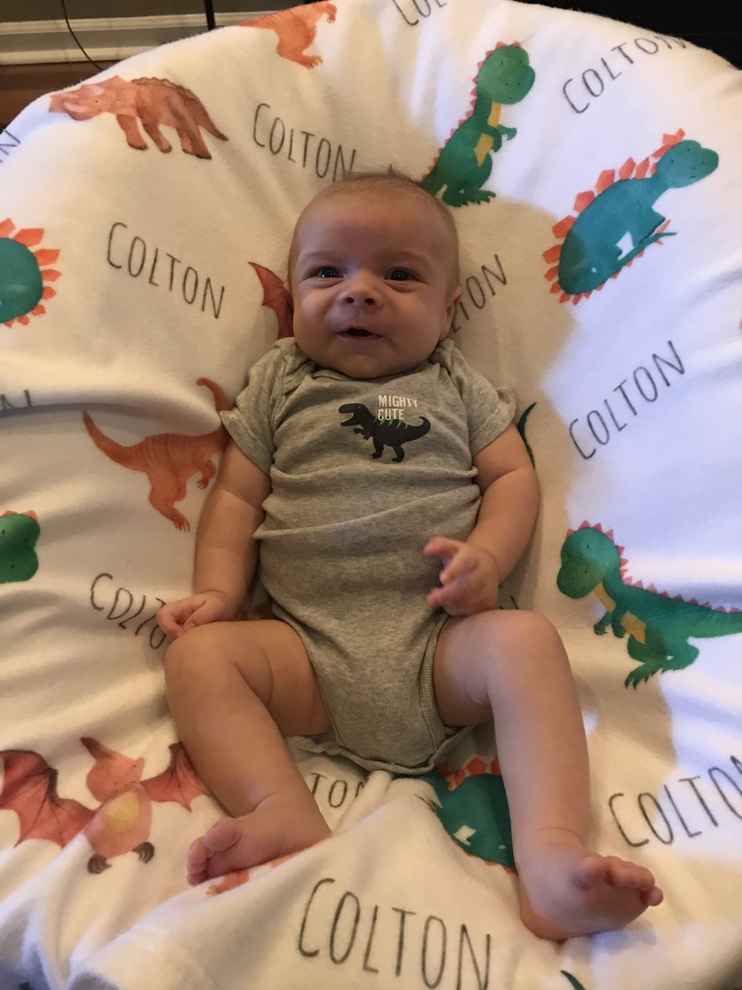 Customer photo review of Personalized Dinosaur Watercolor Print Baby Name Blanket