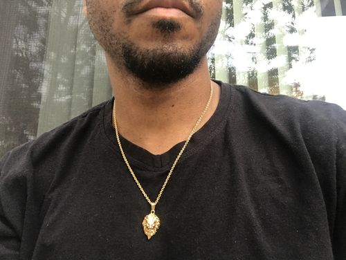 Customer photo review of Lion (Gold)