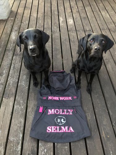 Kundeanmeldelse med foto af Dogwalking Vest - Sprinter Pro - Pink