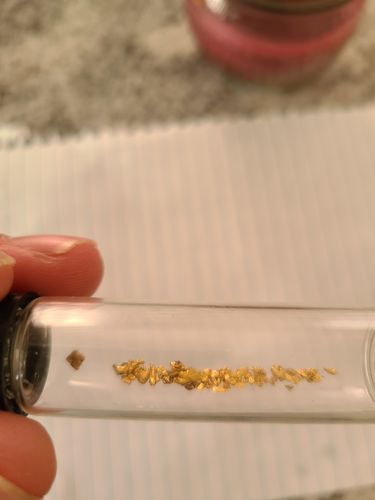 Customer photo review of *NEW*: 2020 JACKPOT 'Bonanza' - Gold Paydirt Concentrate - Panning Pay Dirt Bag