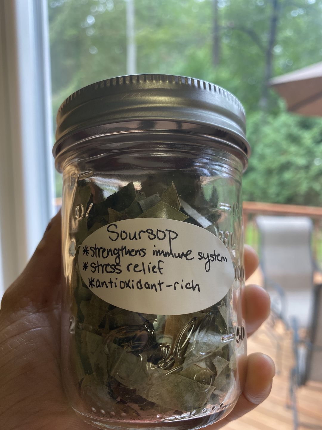 Customer photo review of Soursop Leaf