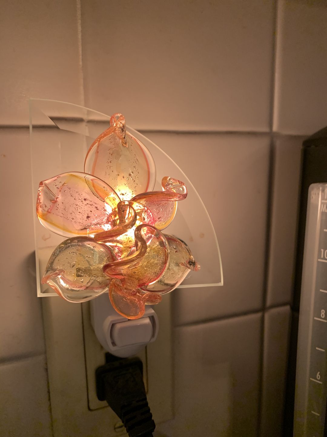 Customer photo review of Memorial Nightlight Flower with Cremation Ash