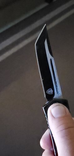 Customer photo review of STEALTH