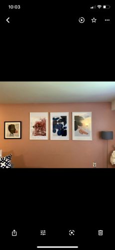 Customer photo review of Floral Canvas Prints