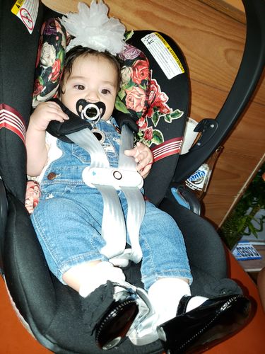 Customer photo review of A Luxury Pacifier™