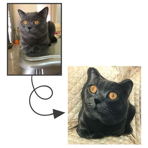 Customer photo review of Personalisiertes Katzenkissen™