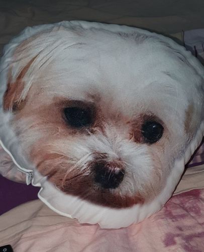 Customer photo review of Personalisiertes Hundekissen™